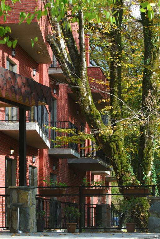 Отель Resort Wald lagodekhi Reserve, Кахетия: фото 3