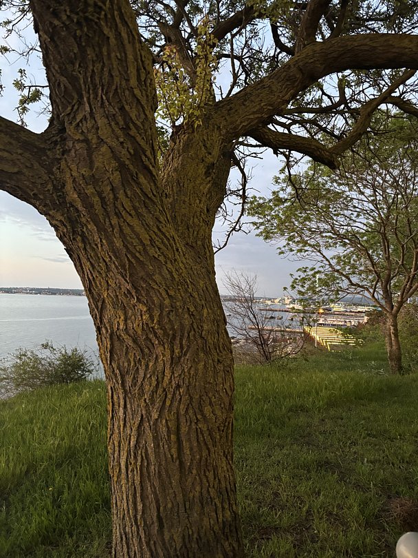 Фото 4 из отзыва о санатории Малая бухта