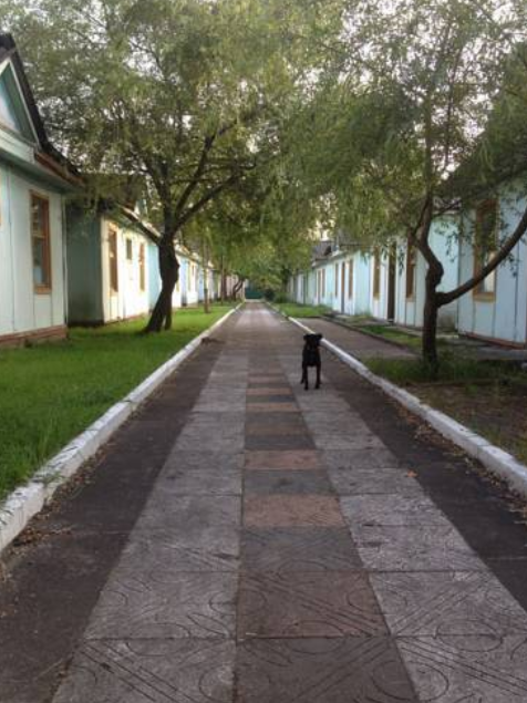 База отдыха Тур-сервис, Краснодарский край, Вардане Сочи Вардане