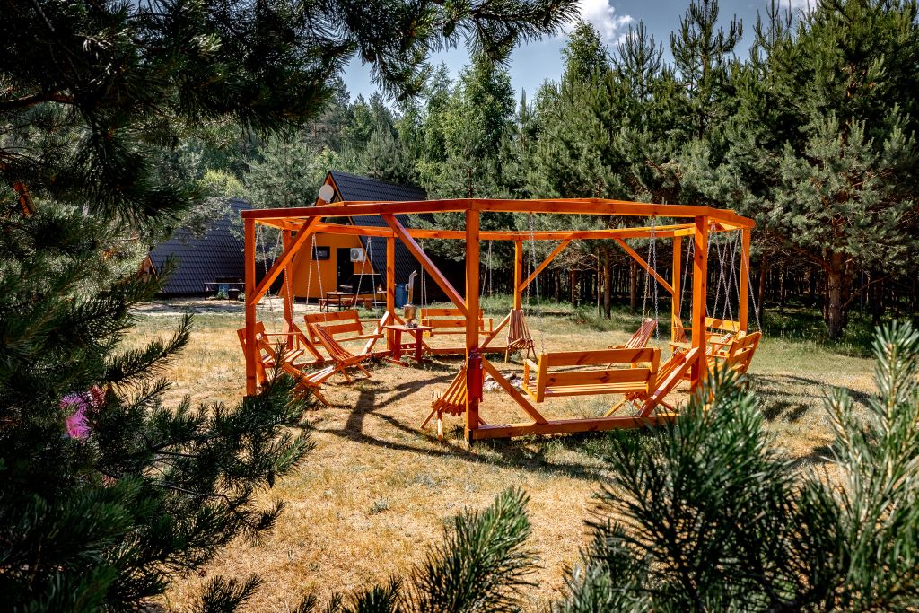 Forest, Московская область: фото 5