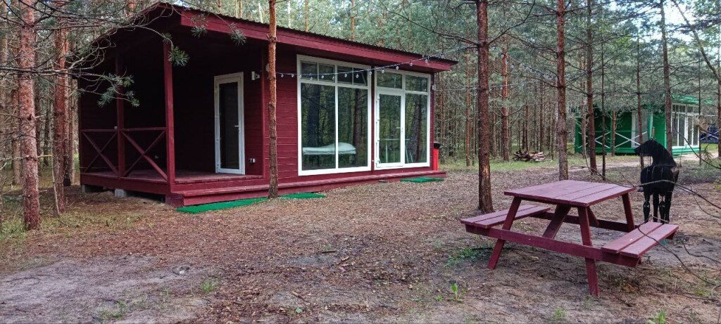 Forest, Московская область: фото 4