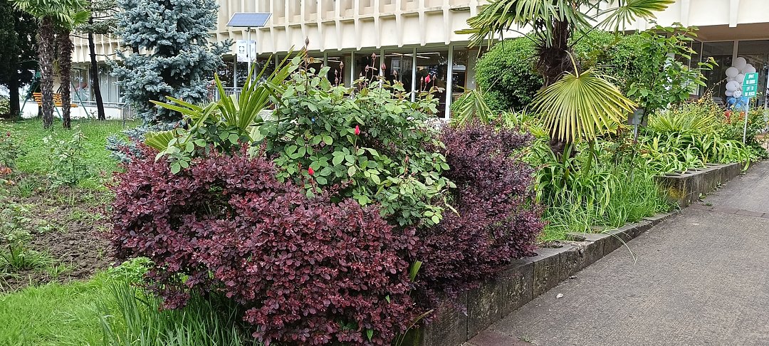 Фото 10 из отзыва о санатории Зеленая роща