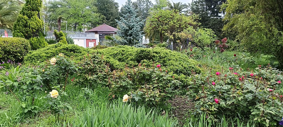 Фото 1 из отзыва о санатории Зеленая роща