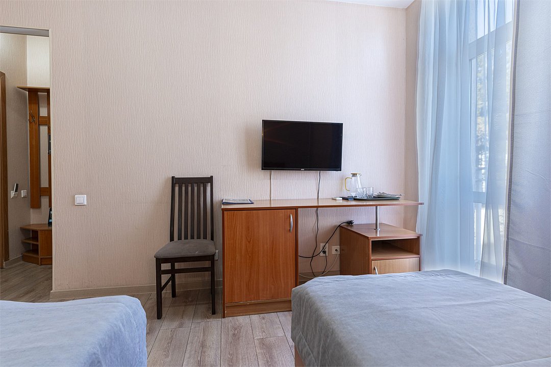 Стандартный 2-местный TWIN (вид на город)