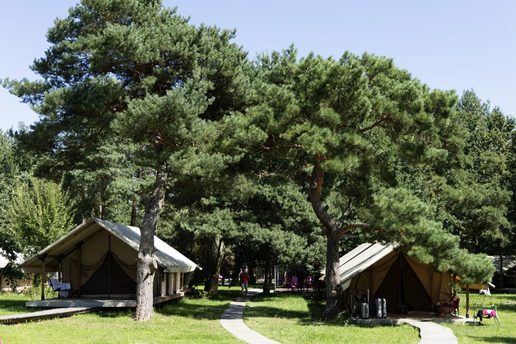 Глэмпинг Малина, Калининградская область, Зеленоградск 