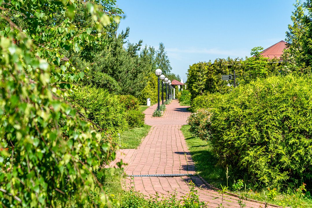 Александръ, Московская область: фото 4
