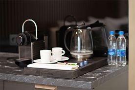 Апартаменты Студия (вид на сад) 2-местная. располагается на -1 этаже, но фактически окна выходят на уровне 3 этажа, Апарт-отель Метрополь, Сочи