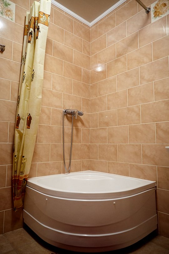 Стандартный 2-местный 1-комнатный (TWIN)