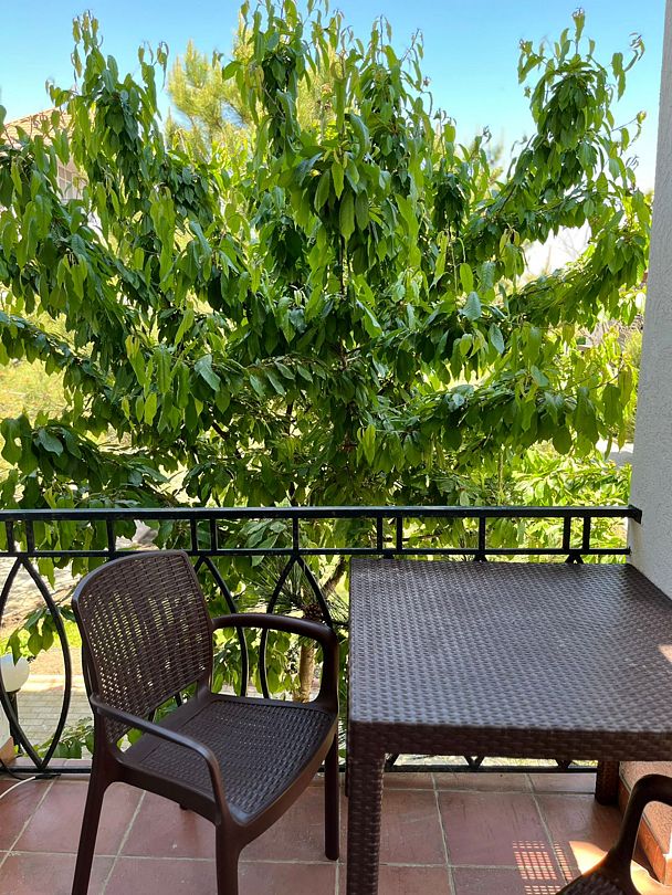 Стандартный 3-местный 1-комнатный (вид на сад) №6