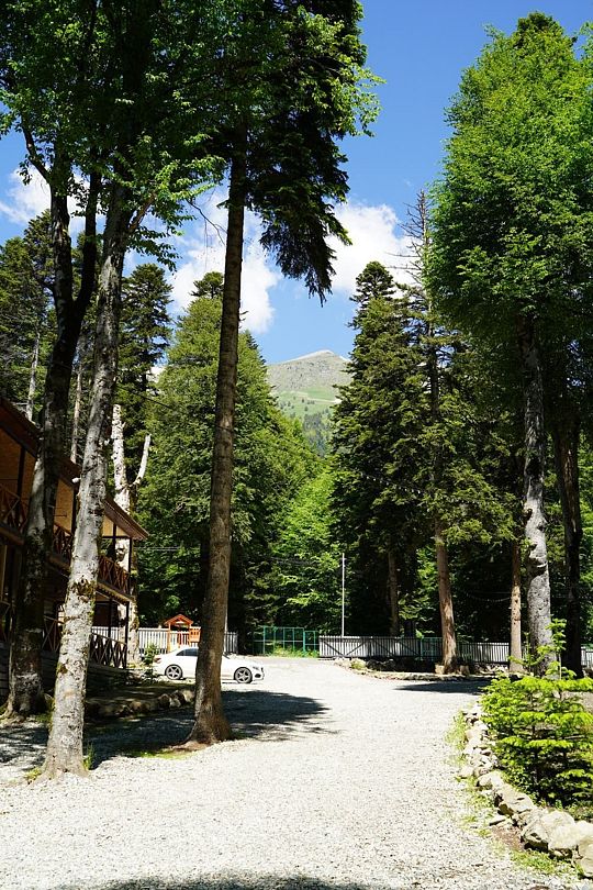 Райский уголок , Республика Карачаево-Черкесия: фото 5