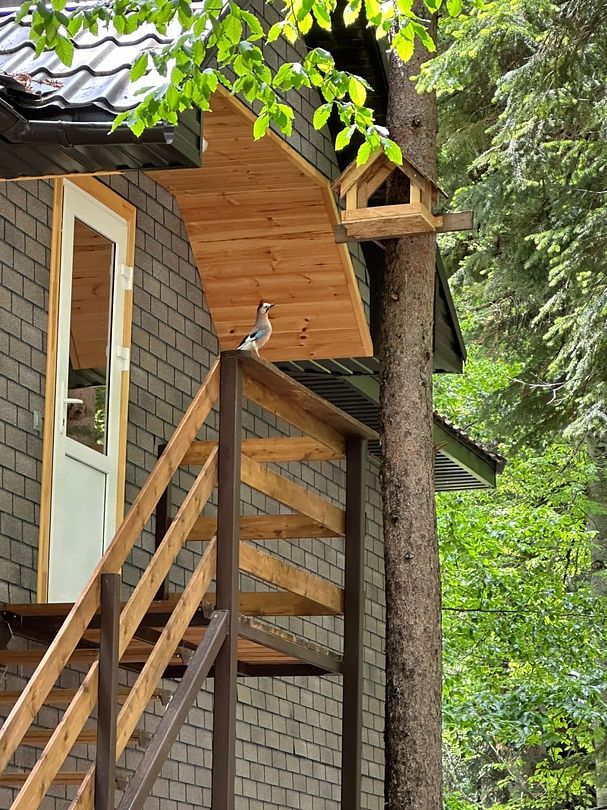 Брусника, Республика Карачаево-Черкесия: фото 2