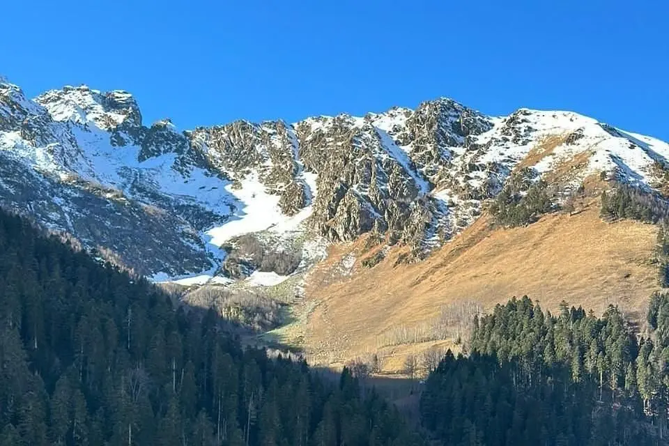 Брусника, Республика Карачаево-Черкесия: фото 3