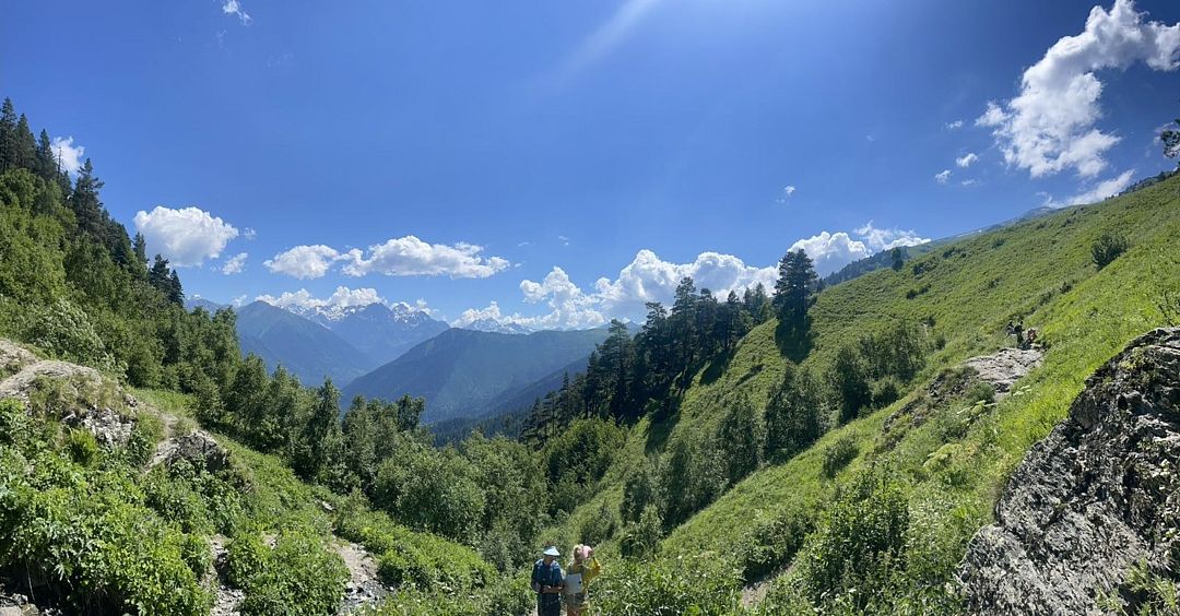Брусника, Республика Карачаево-Черкесия: фото 4