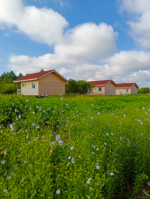 Глэмпинг Карловка, Новгородская область, Успенское сельское поселение 