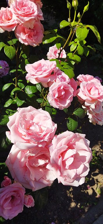 Фото из отзыва от 01.06.2025