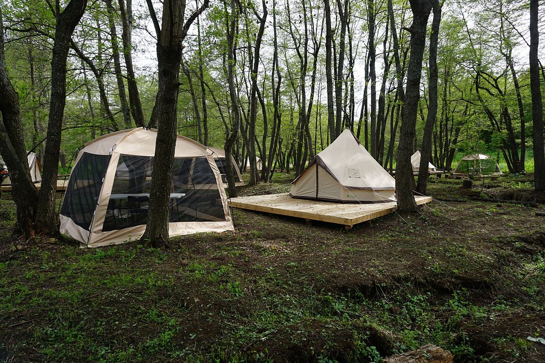 Горки-Лох, Саратовская область: фото 3