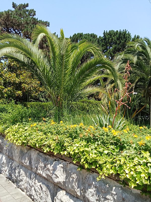 Фото 3 из отзыва о пансионате Изумруд