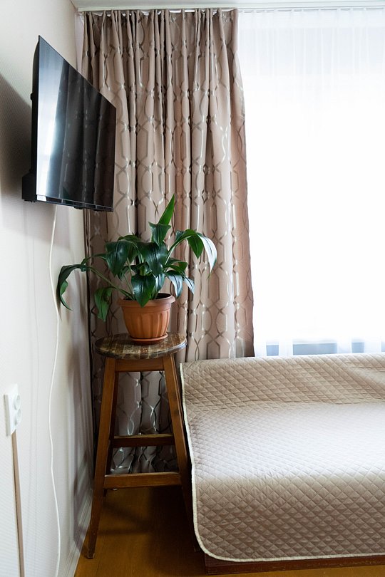 Студио 3-местный 1-комнатный (Улучшенный)