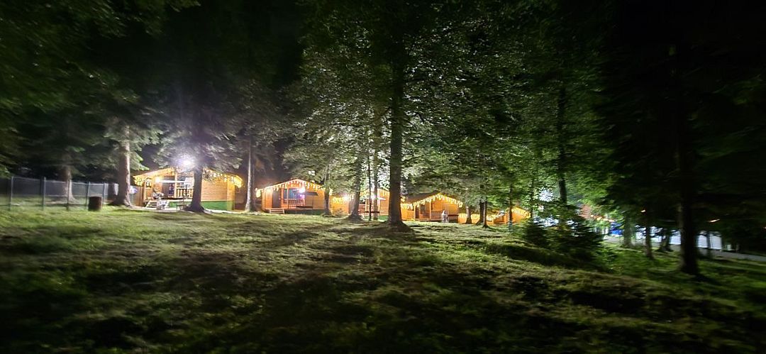 Горная мята, Республика Карачаево-Черкесия: фото 4