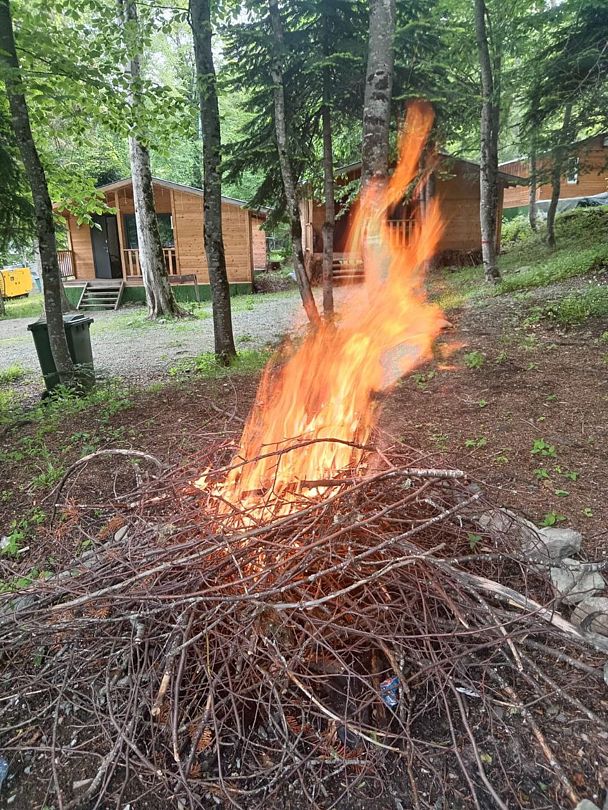 Горная мята, Республика Карачаево-Черкесия: фото 3
