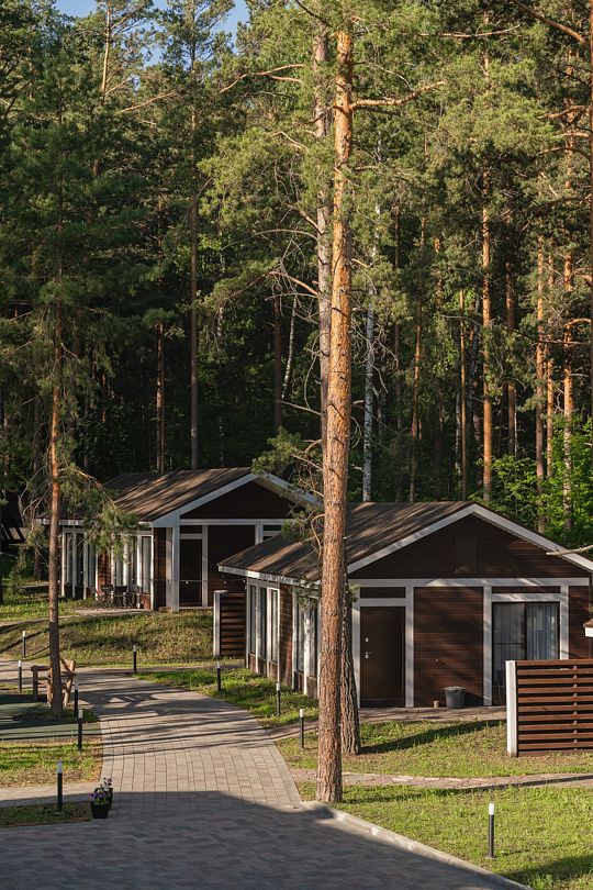 Клевер, Красноярский край: фото 3