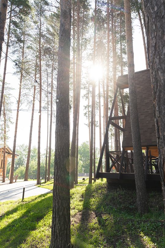 Клевер, Красноярский край: фото 4