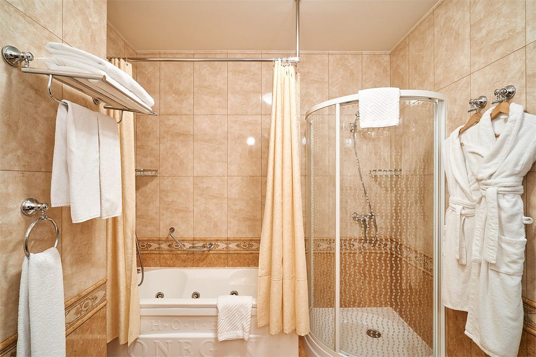 Люкс 2-местный