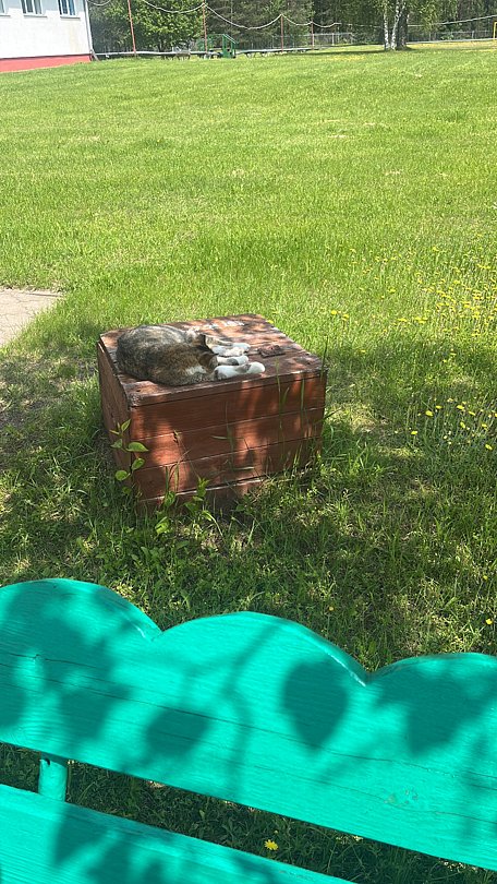 Фото 1 из отзыва о санатории Рудня