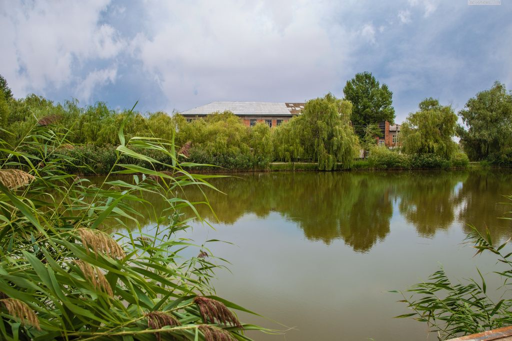 Авиатор, Саратовская область: фото 3