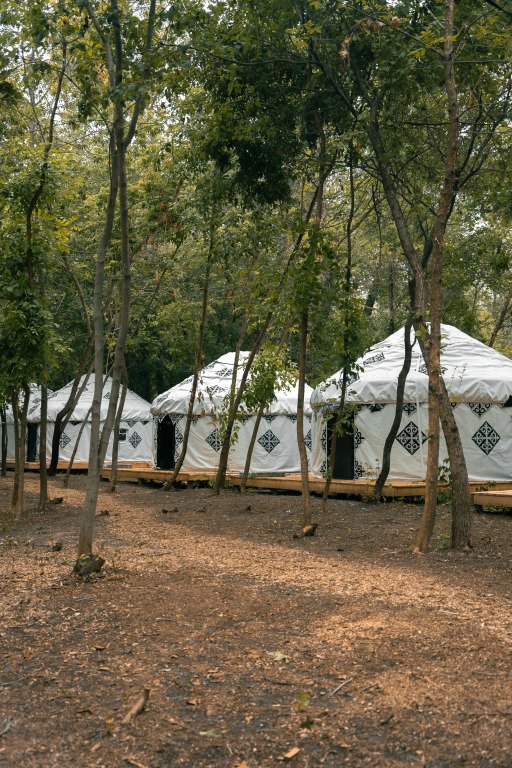 Глэмпинг Юрта Парк , Саратовская область, Энгельс Саратов Энгельс Энгельсский район поселок Водник село Пристанное