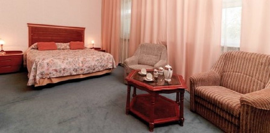 Джуниор сюит 2-местный 1-комнатный (VIP)