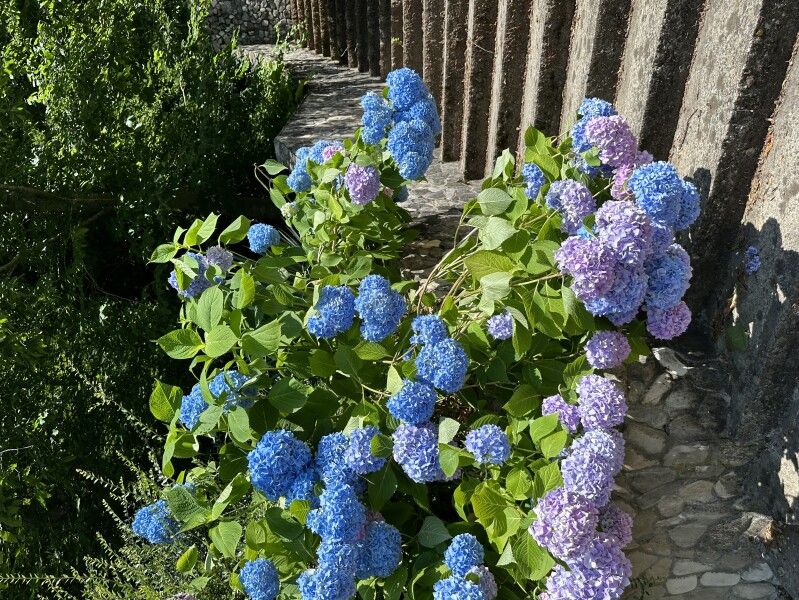 Saltykov Agoy Resort, Краснодарский край: фото 4