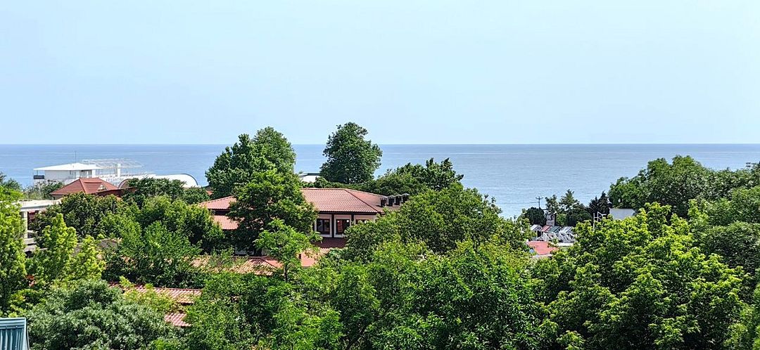 Сота, Крым: фото 2