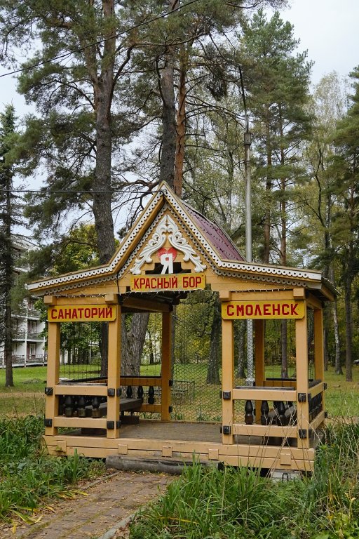 Красный Бор, Смоленская область: фото 2