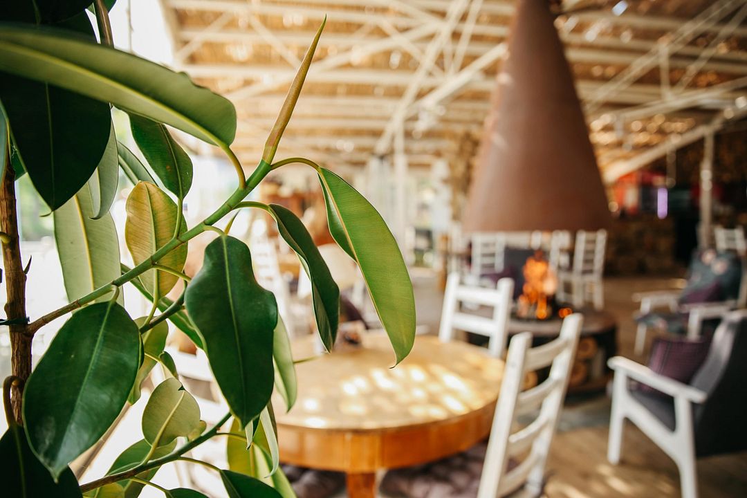 Стародонье, Ростовская область: фото 2