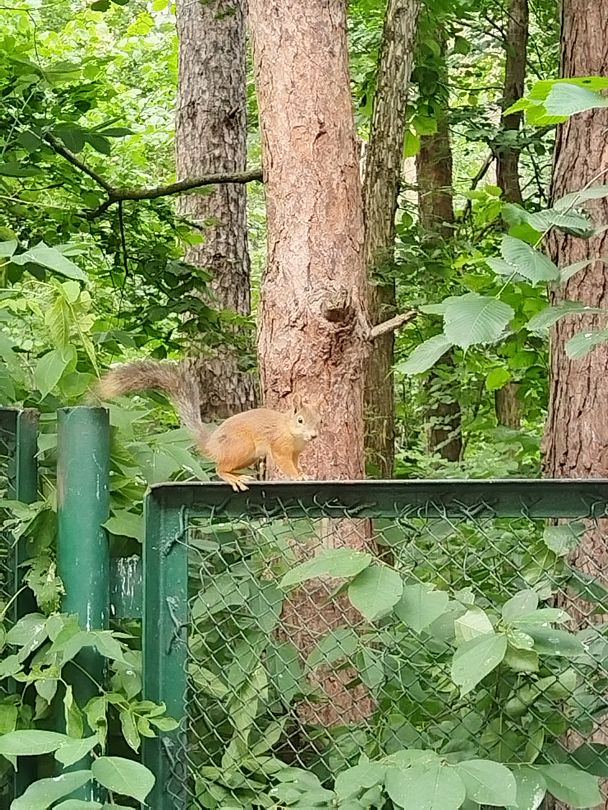 Фото 2 из отзыва о санатории Русский бор