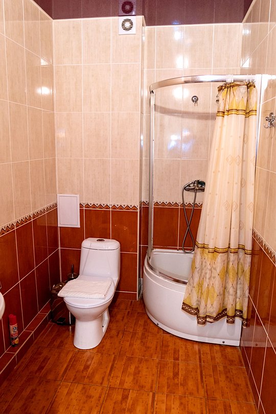 Полулюкс 3-местный