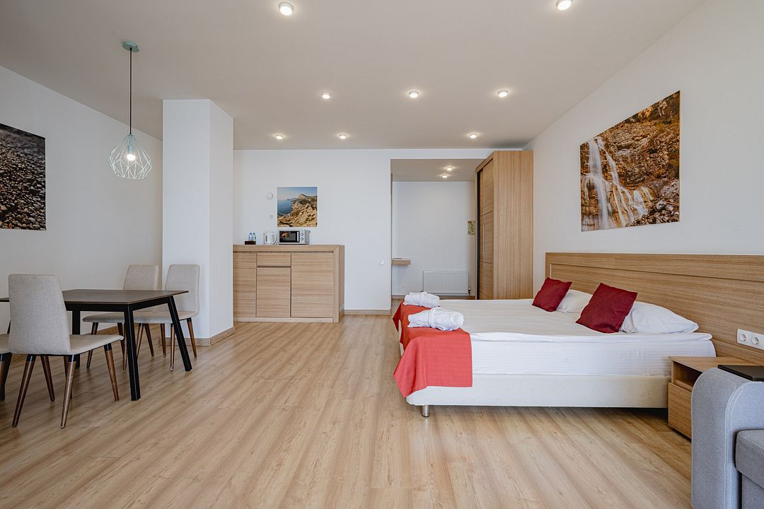 Стандартный 2-местный 1-комнатный