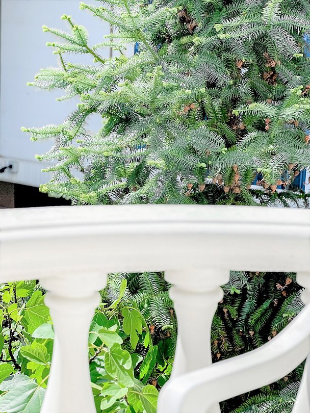 Стандартный 2-местный (с балконом)