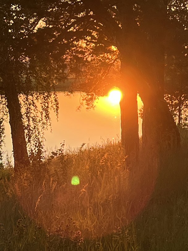 Фото 1 из отзыва об оздоровительном комплексе Центр оздоровления и реабилитации Красная гвоздика