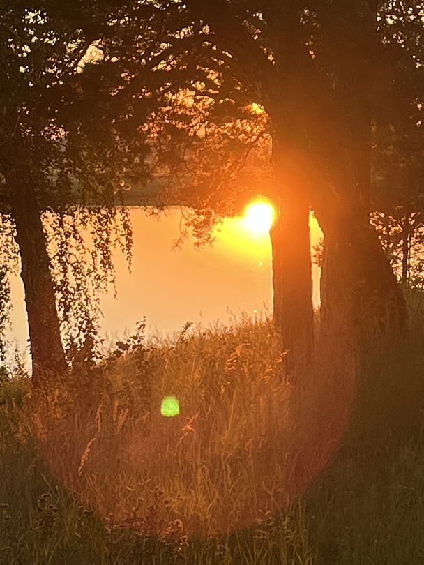 Фото 1 из отзыва об оздоровительном комплексе Центр оздоровления и реабилитации Красная гвоздика