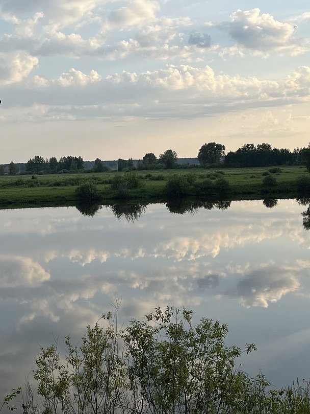 Фото 2 из отзыва об оздоровительном комплексе Центр оздоровления и реабилитации Красная гвоздика