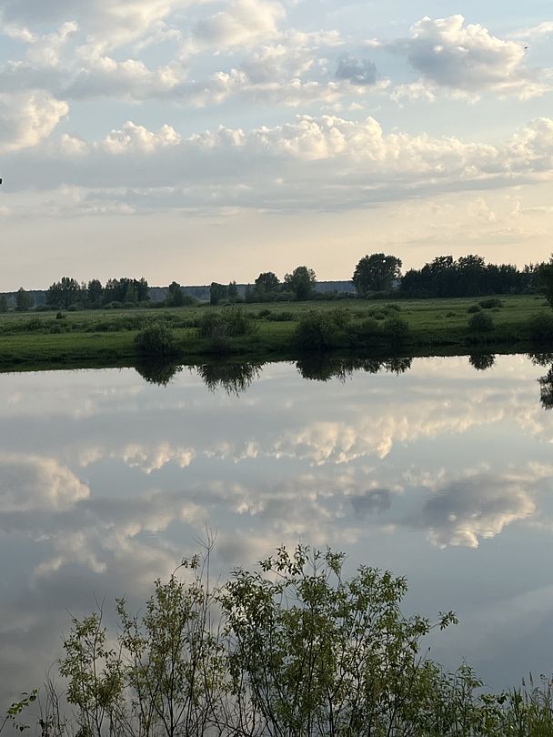 Фото 2 из отзыва об оздоровительном комплексе Центр оздоровления и реабилитации Красная гвоздика