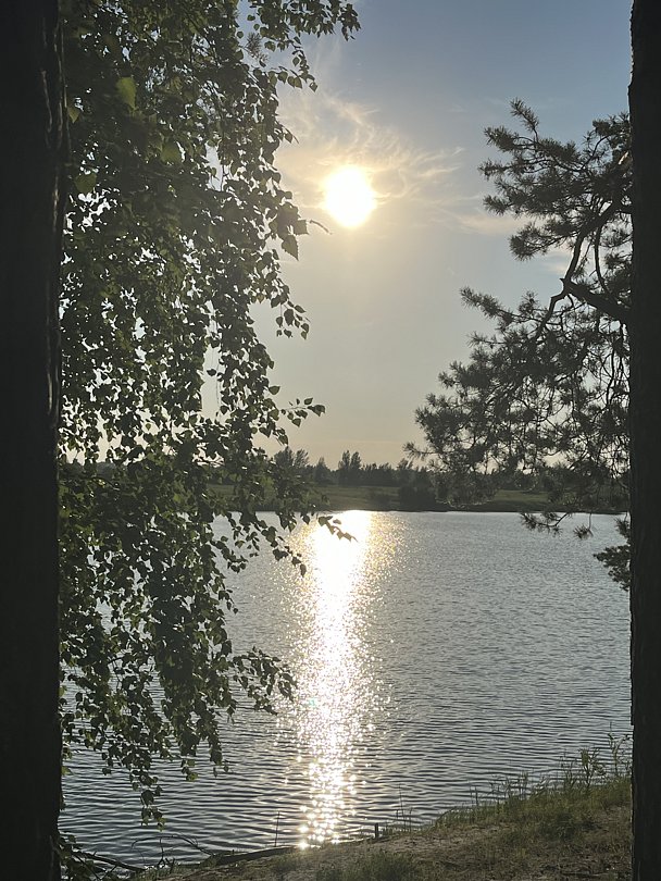 Фото 3 из отзыва об оздоровительном комплексе Центр оздоровления и реабилитации Красная гвоздика