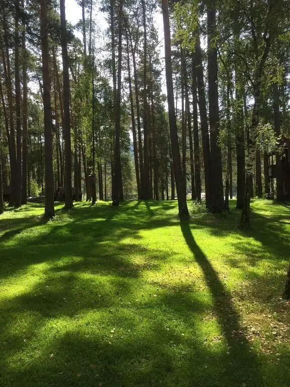 Туристическая база Семинская поляна, Алтайский край: фото 2