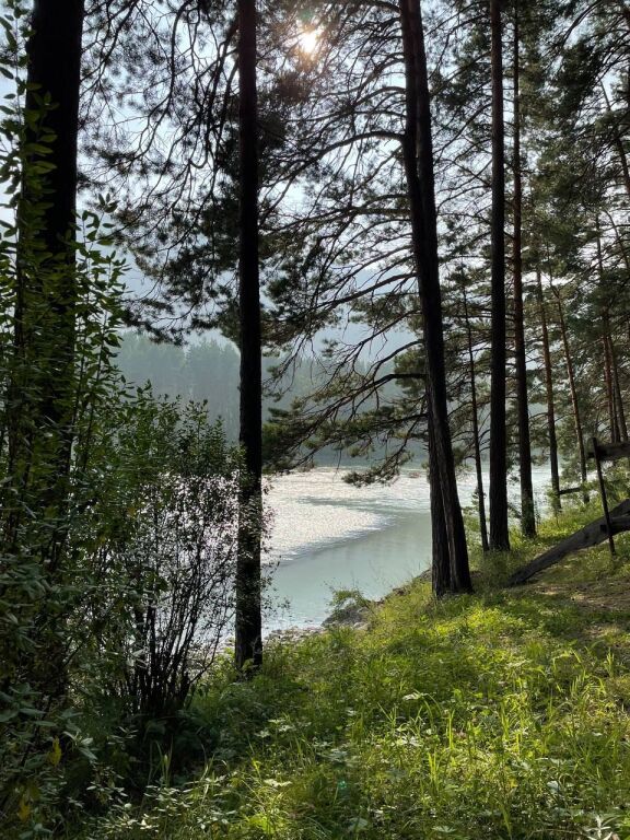Туристическая база Семинская поляна, Алтайский край: фото 3