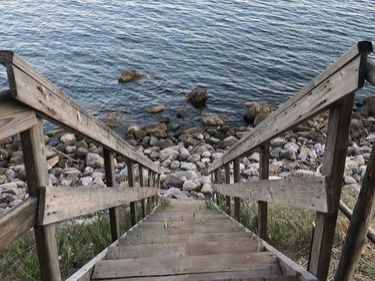 Тортуга, Крым: фото 4