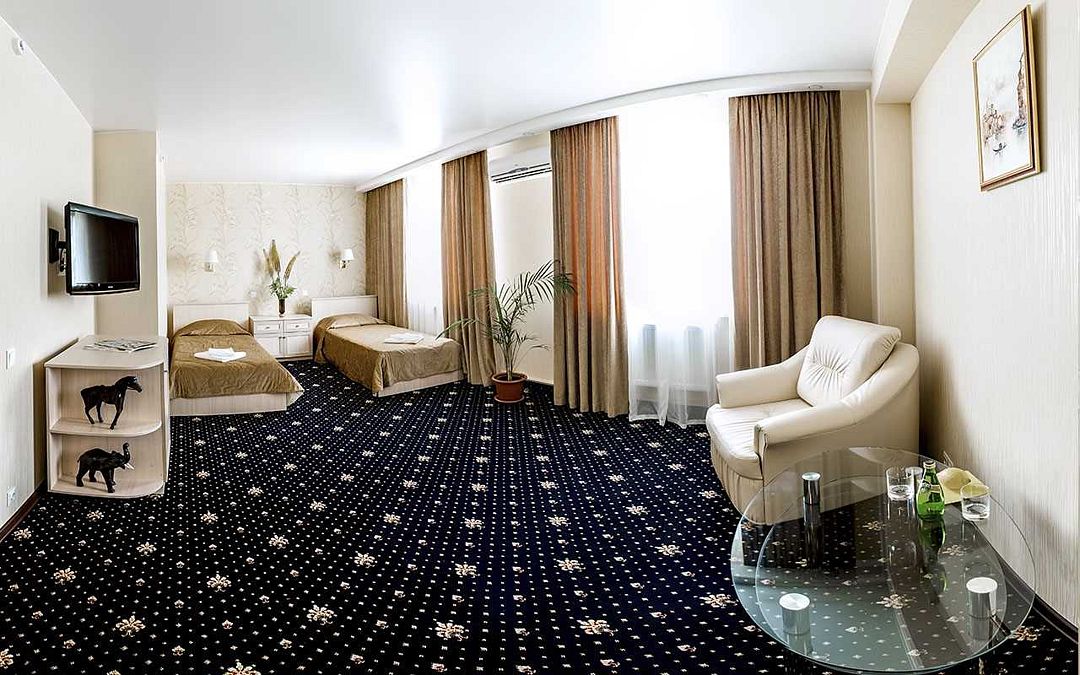 Стандартный СТД 2-местный 1-комнатный (TWIN)