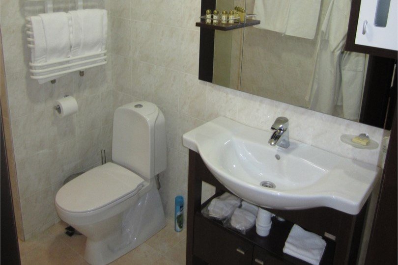 Бизнес 2-местный (Вид на двор)