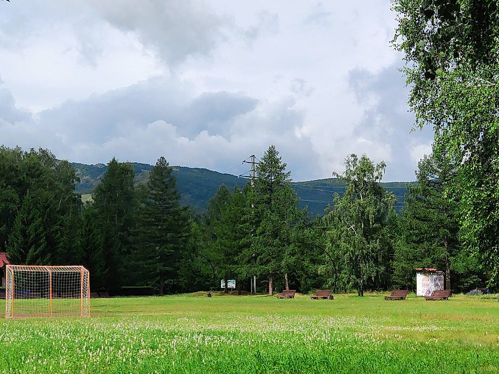 Фото из отзыва от 01.07.2025